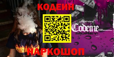 индика Пенза