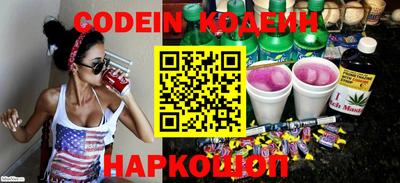 индика Пенза