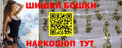 индика Пенза