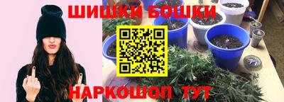 индика Пенза