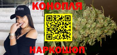 индика Пенза