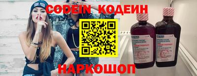 индика Пенза